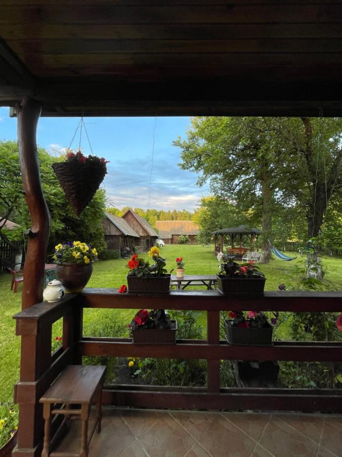 Dom Na Skraju Puszczy Bialowieskiej Narewka 外观 照片