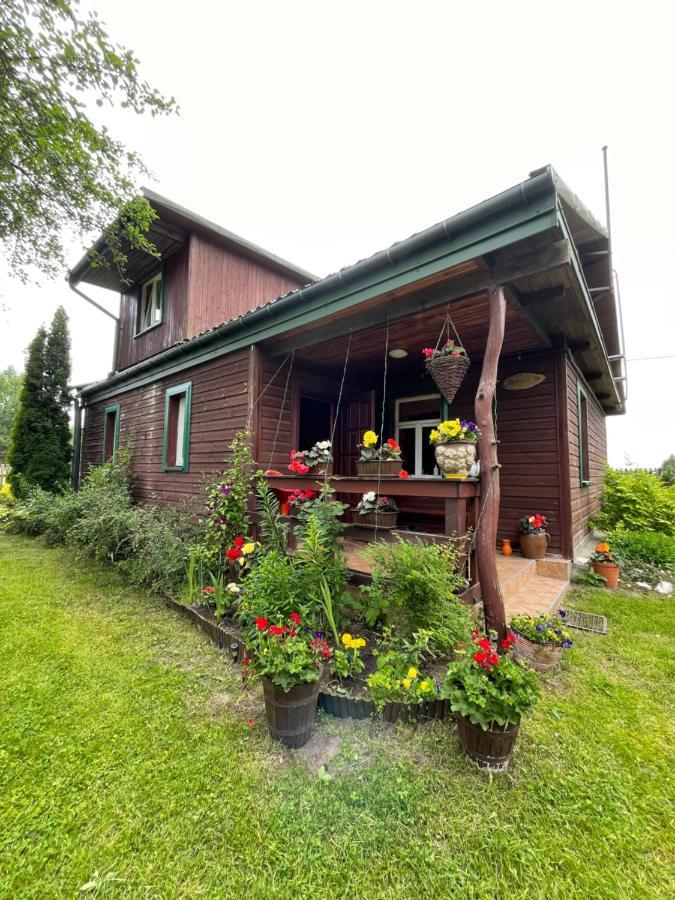 Dom Na Skraju Puszczy Bialowieskiej Narewka 外观 照片