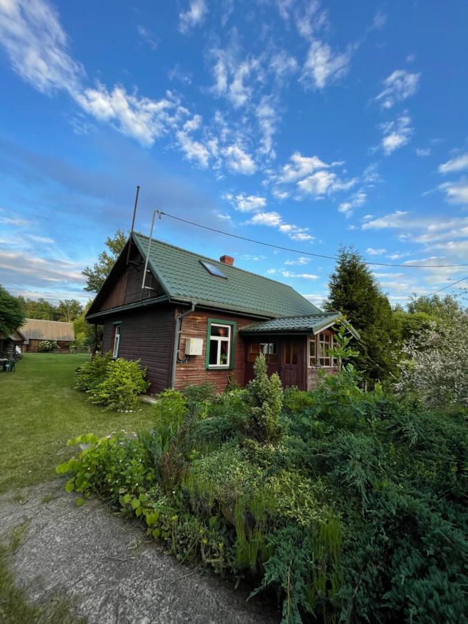 Dom Na Skraju Puszczy Bialowieskiej Narewka 外观 照片