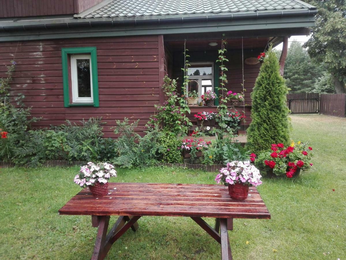 Dom Na Skraju Puszczy Bialowieskiej Narewka 外观 照片
